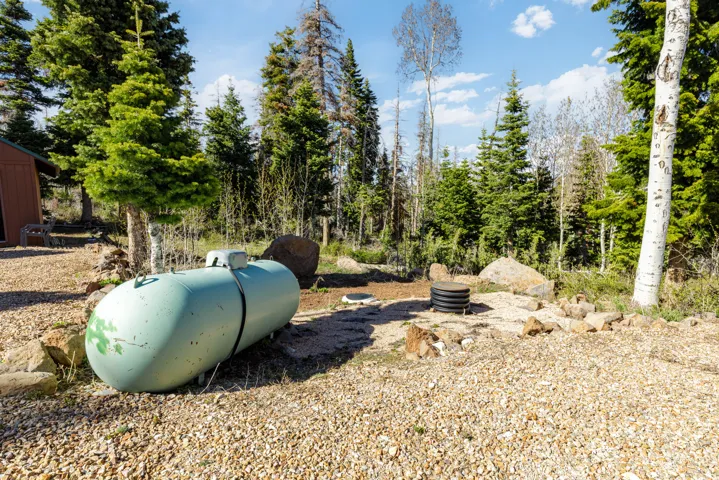 Mountain Fire Pit Area: Perfectly leveled spot for evening campfires under the stars.