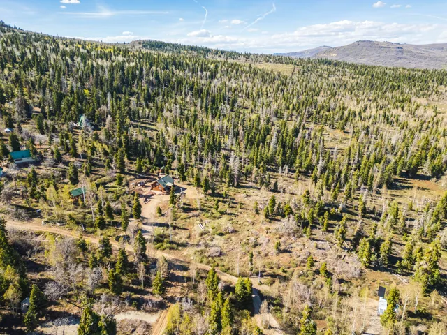 Distant Zion Plateaus: Incredible views stretching toward the iconic red rocks of Zion National Park.