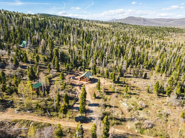 Mountain Top Living: A unique perspective of the property within the expansive forest.