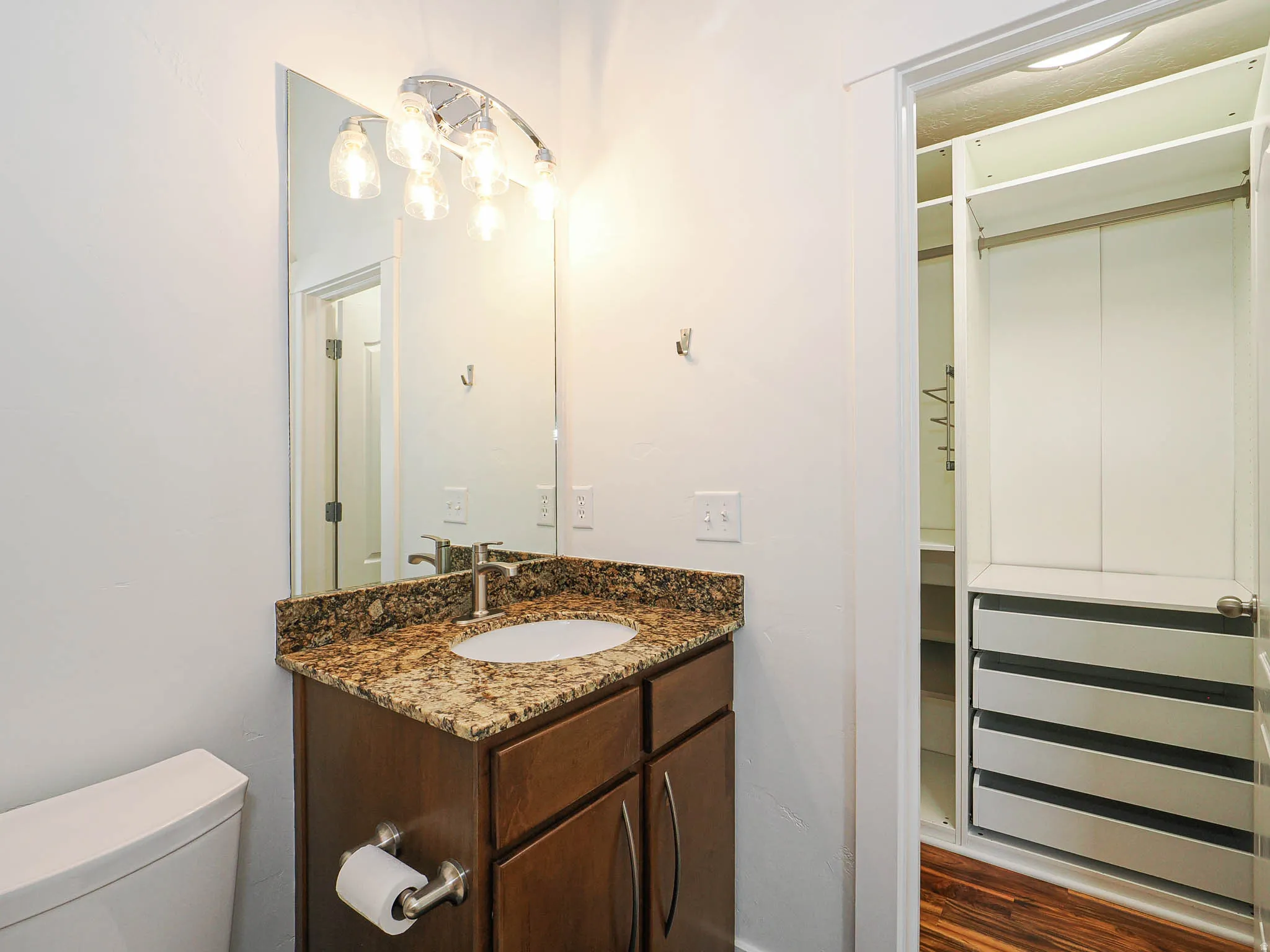 Half bathroom featuring vanity, dark wood finished floors, and a closet