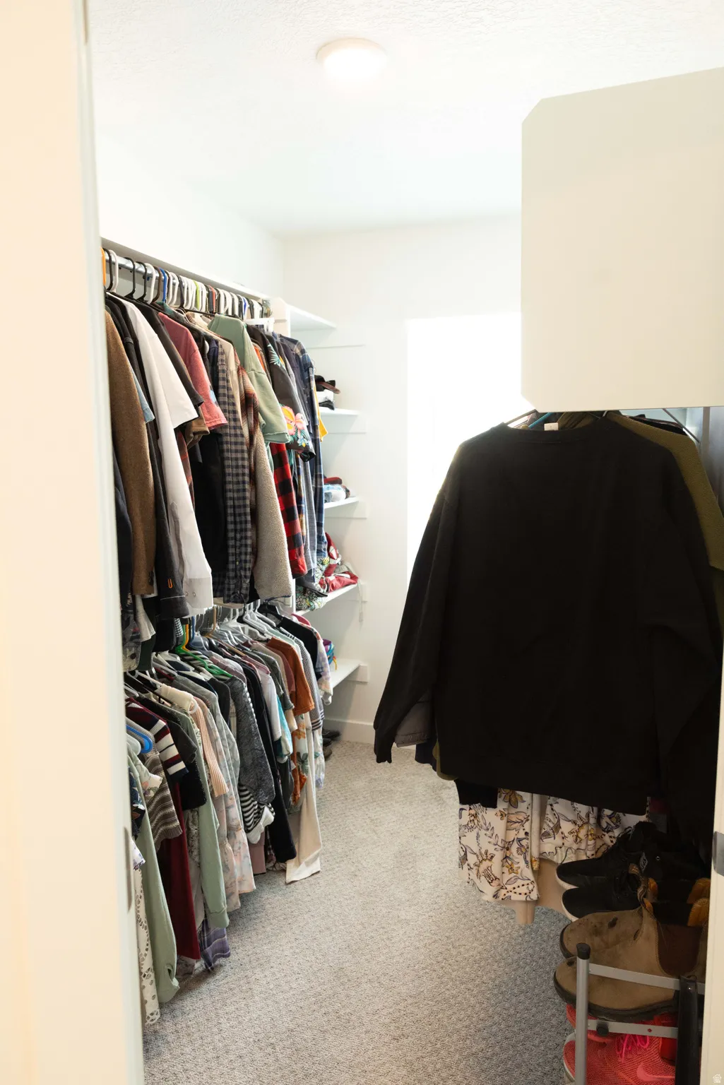 Walk in closet featuring light colored carpet