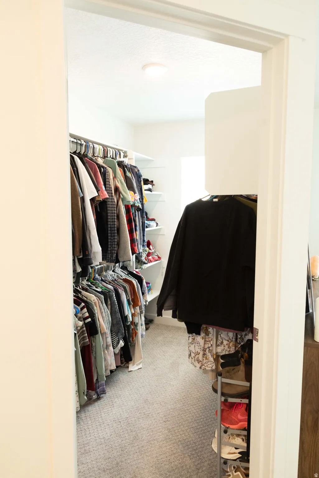 Walk in closet with light carpet