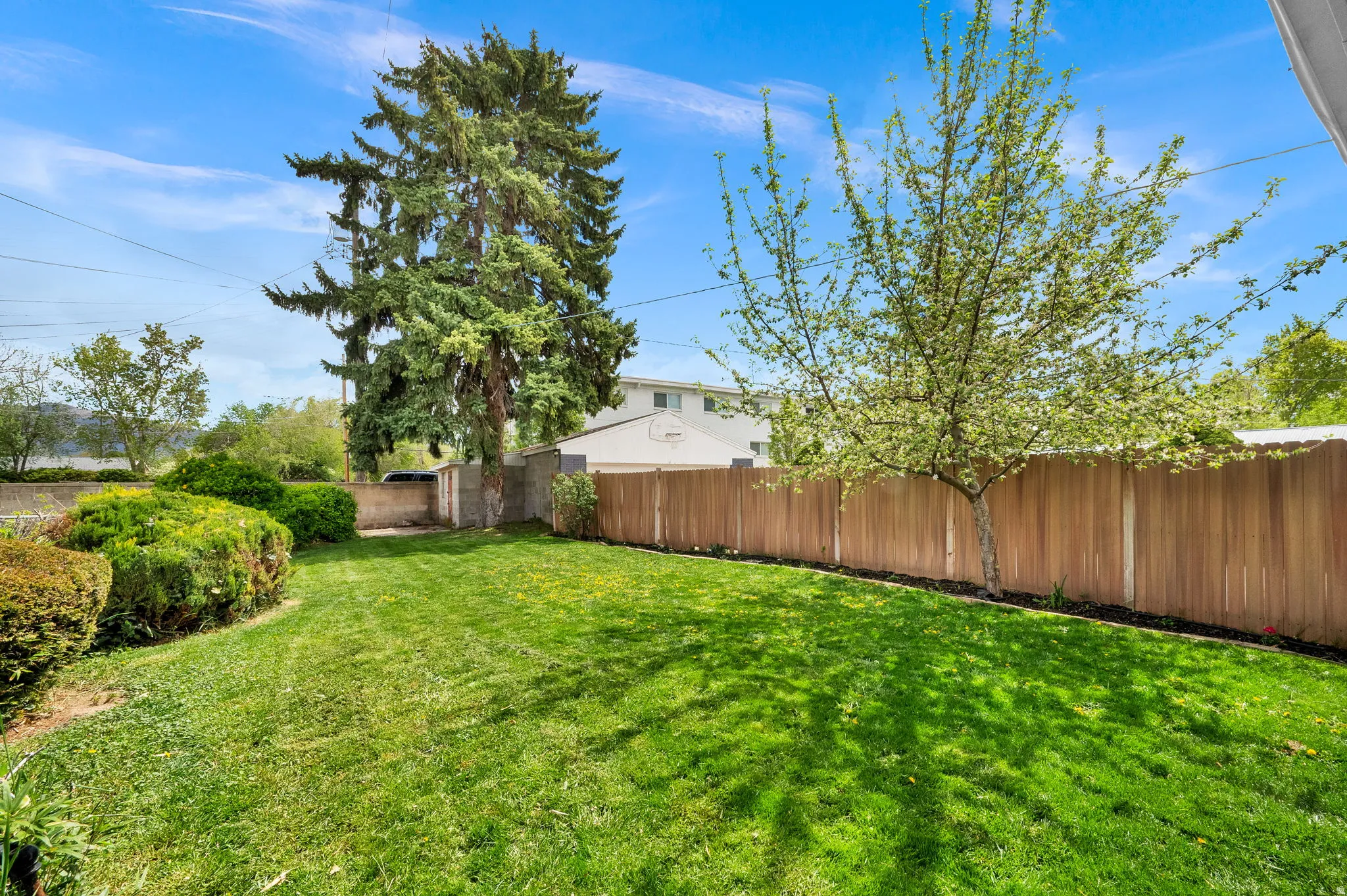View of fenced backyard