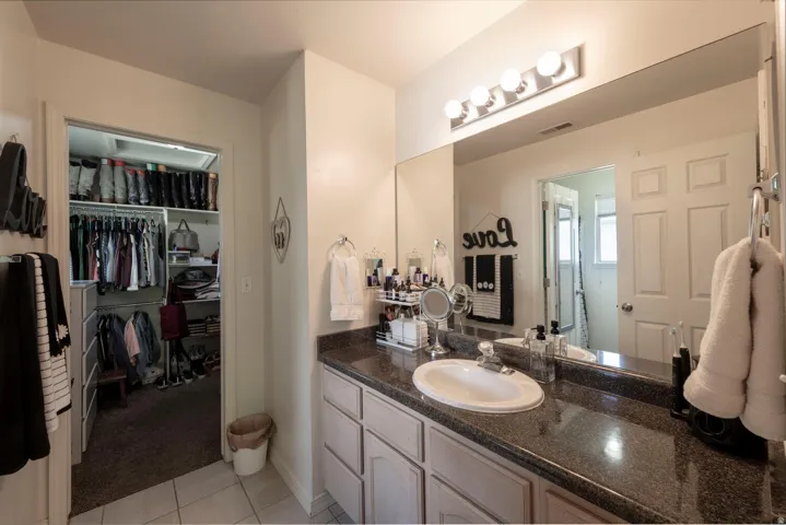 Bathroom with vanity and a spacious closet. Shower room is opposite the vanity.