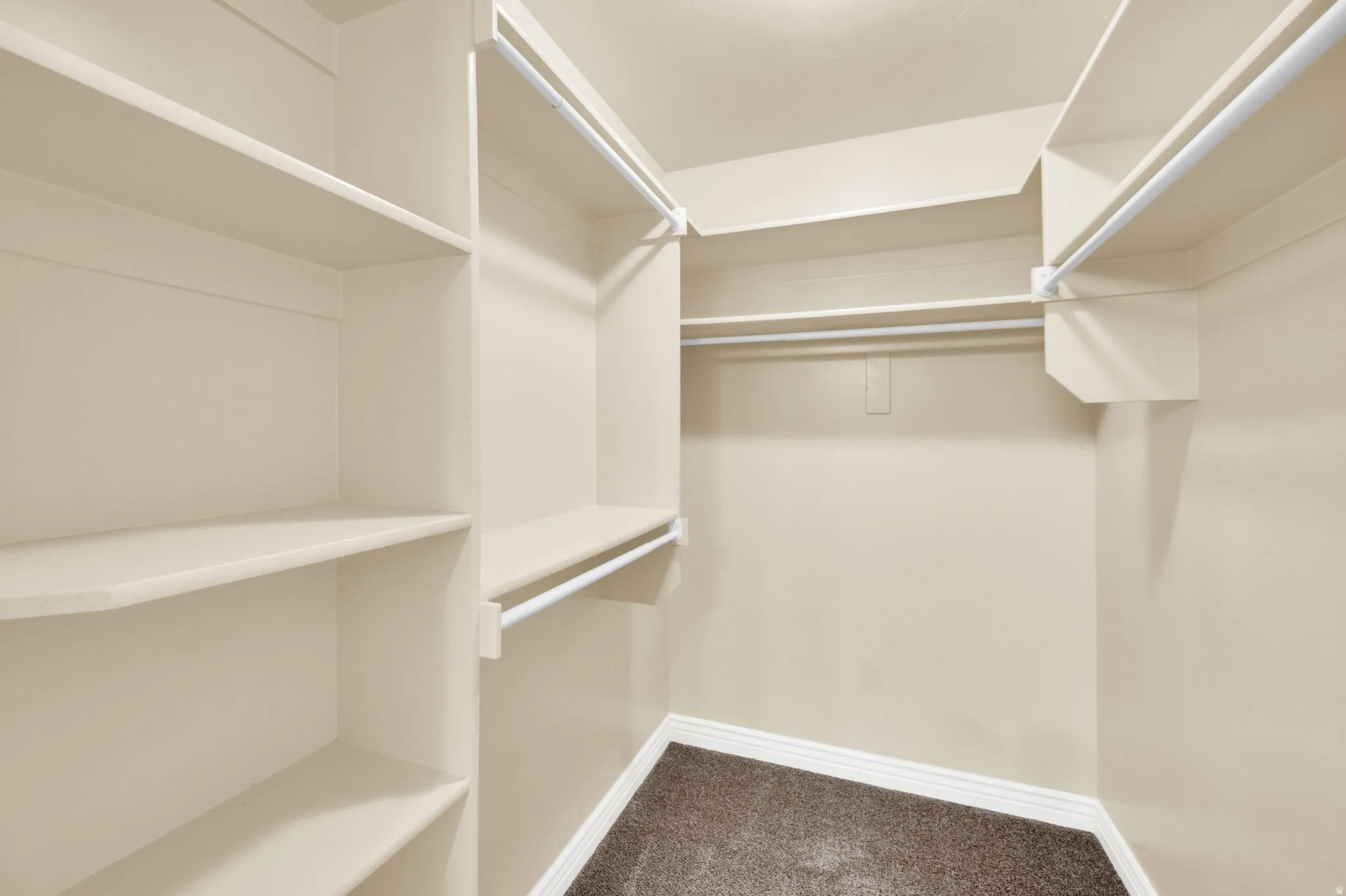 Walk in closet featuring dark colored carpet