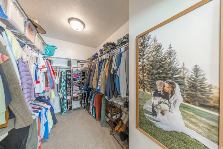 Walk in closet featuring light carpet
