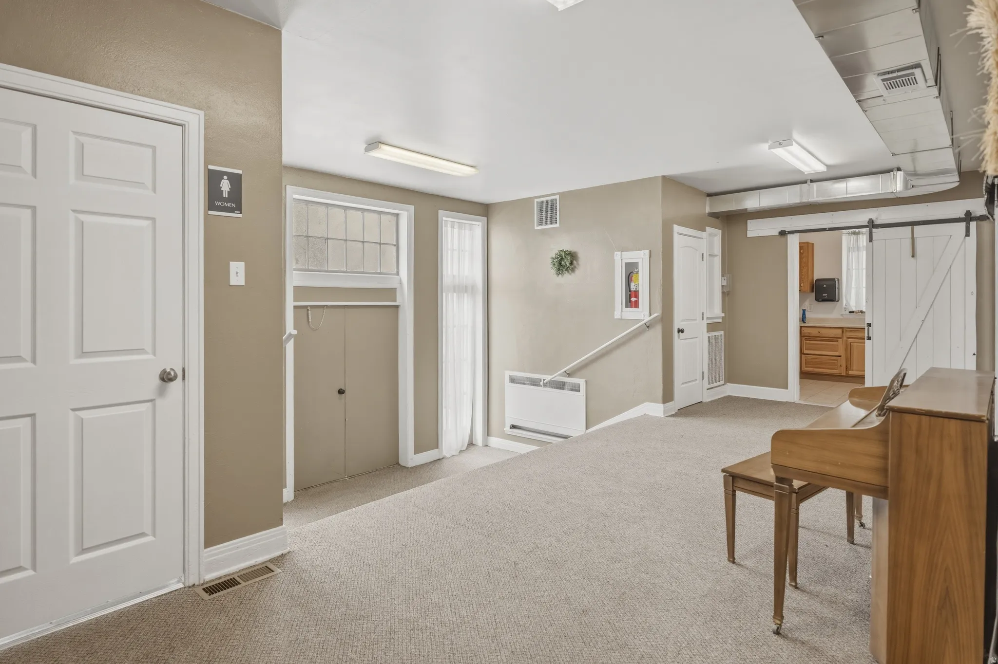 Below grade area with a barn door and light carpet