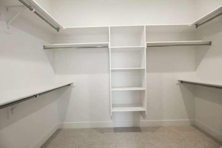 Primary Walk in closet featuring light colored carpet