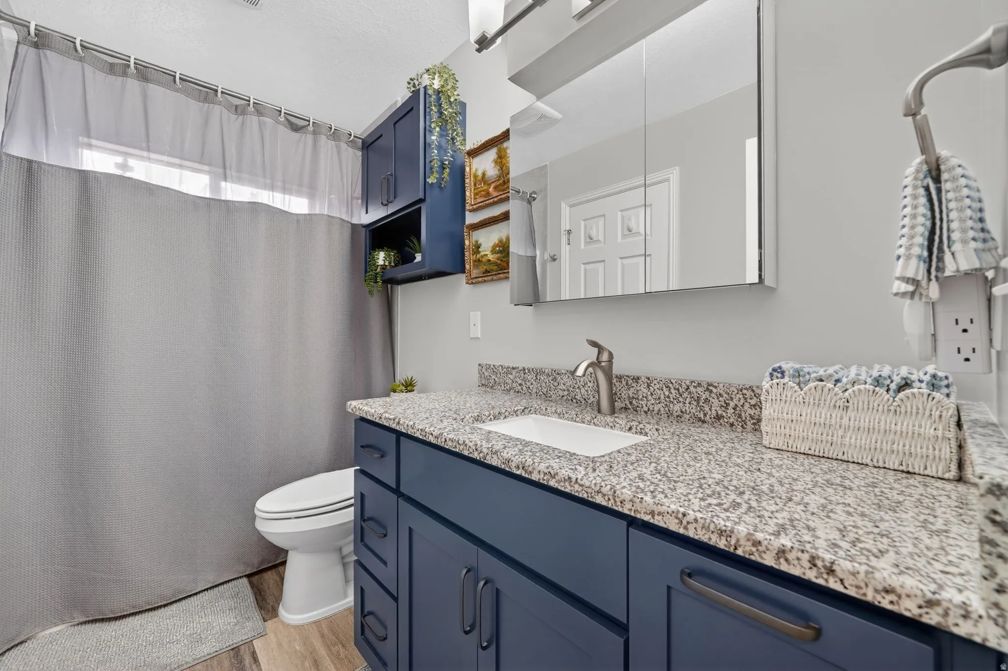 Full bathroom featuring vanity, a shower with curtain, and light wood-type flooring