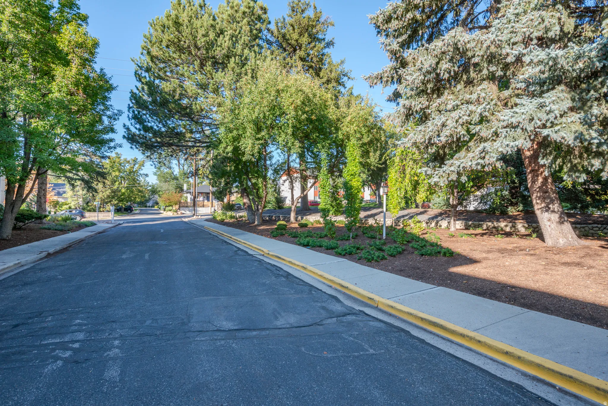 View of asphalt road featuring sidewalks and curbs