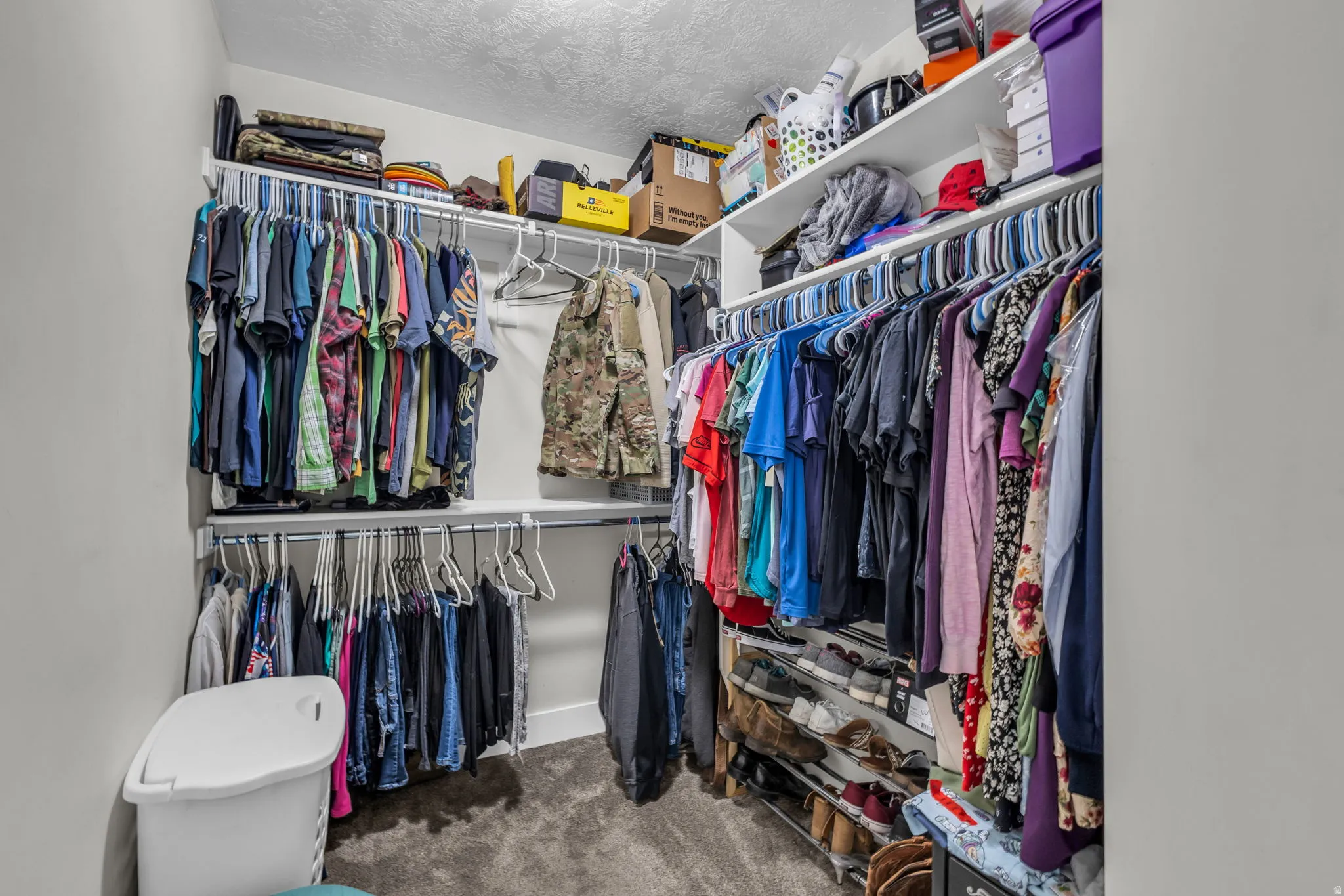 Walk in closet with light colored carpet