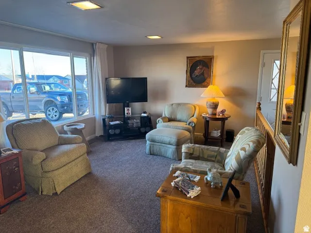Living room featuring carpet floors and baseboards