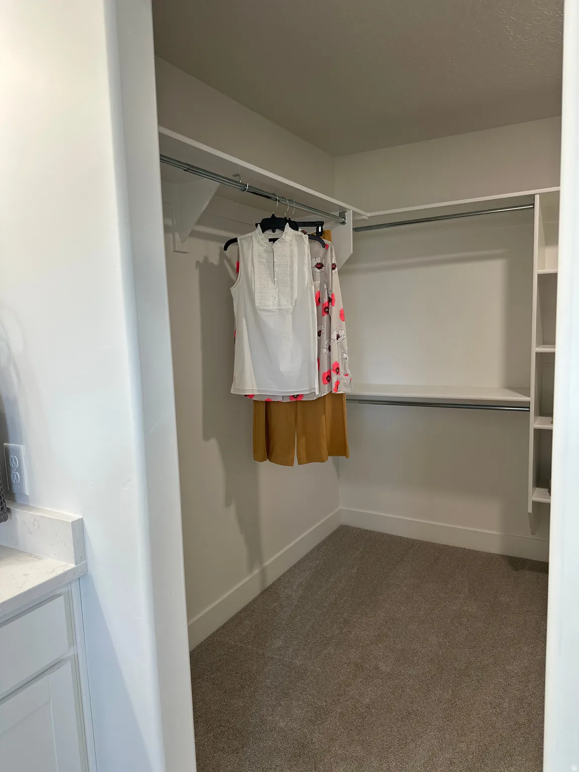 Walk in closet featuring dark colored carpet
