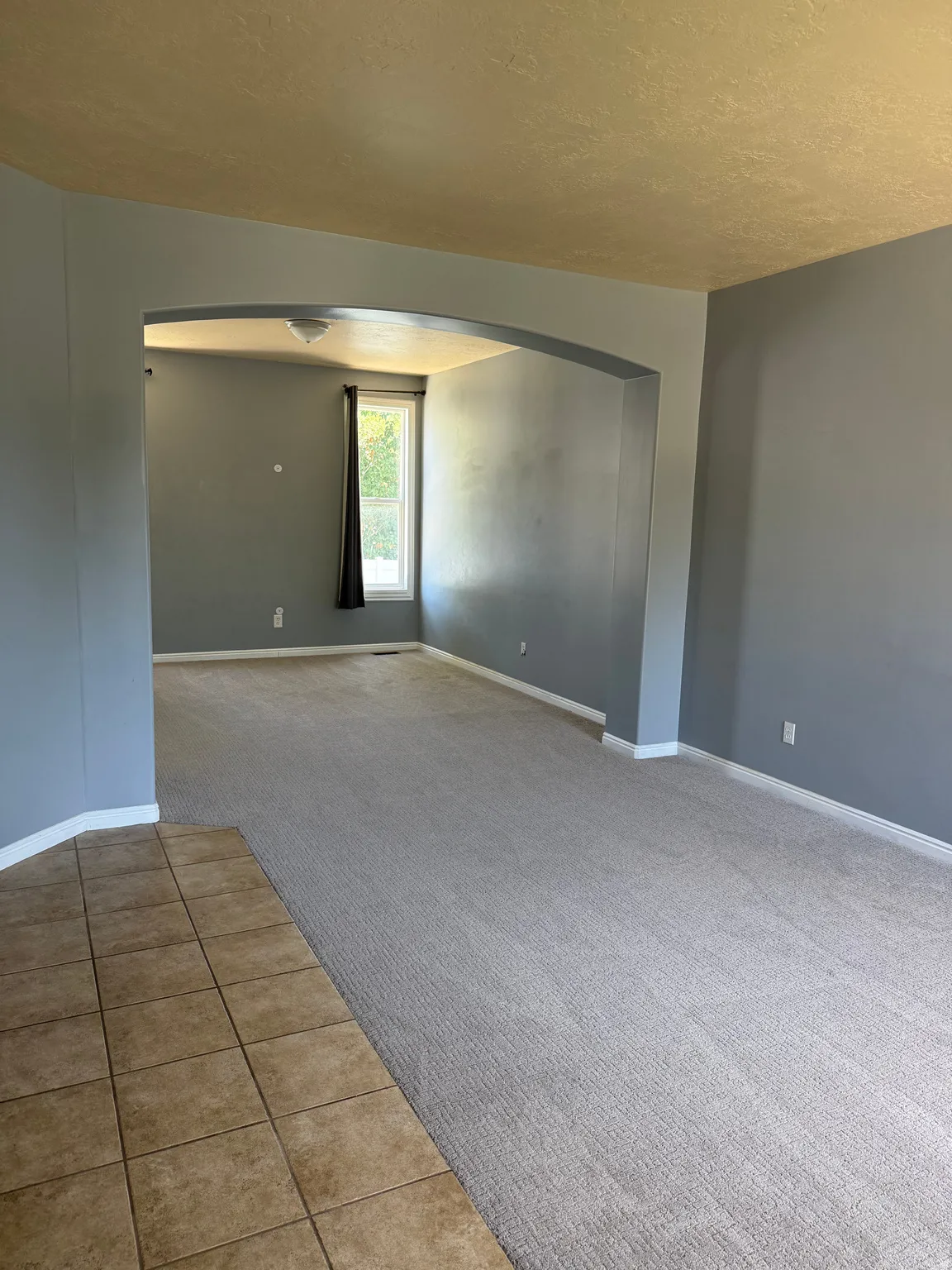 Spacious interior featuring a neutral color palette, light-toned carpeting, and an arched doorway