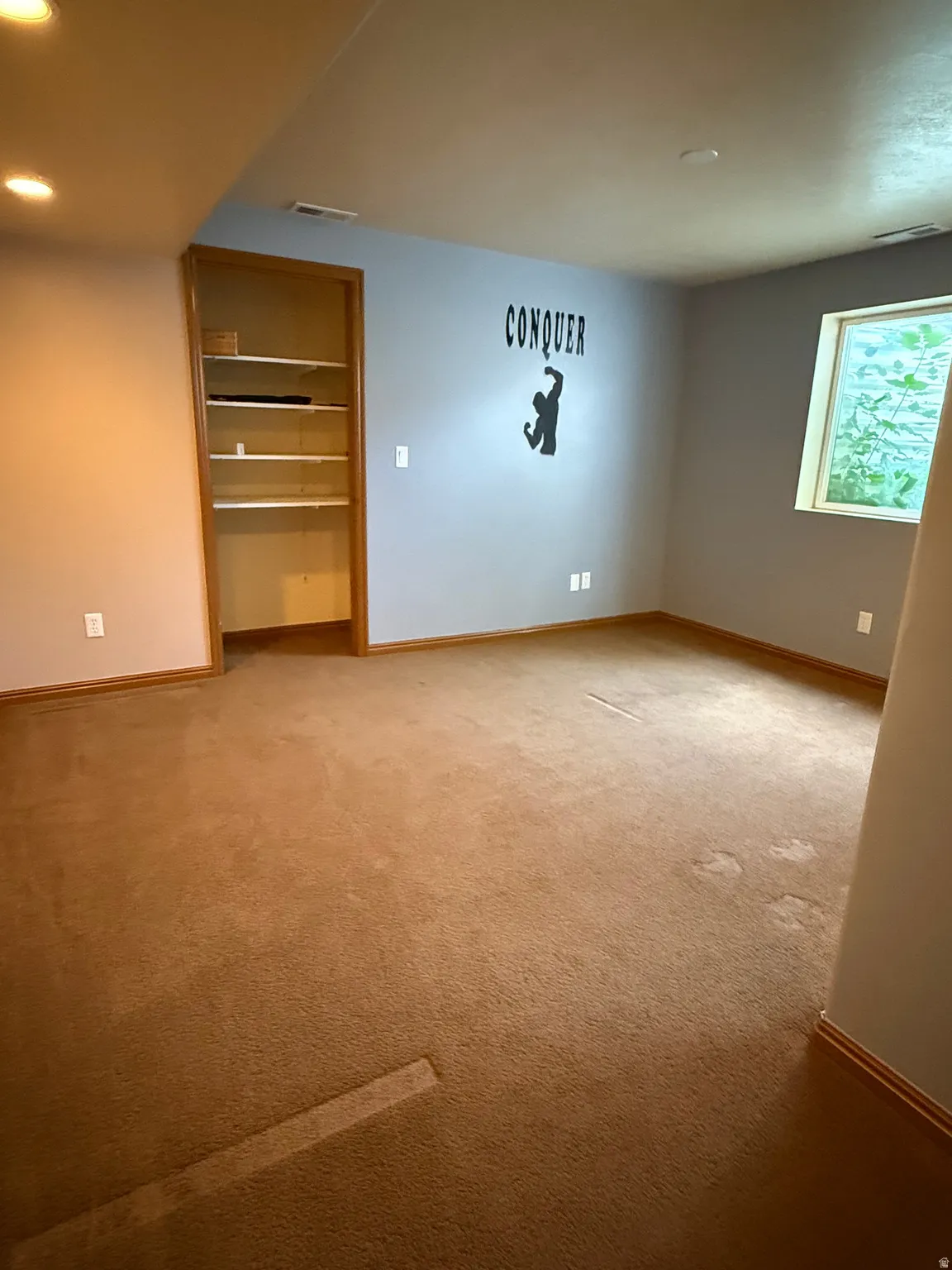 Spacious room featuring neutral carpeting and light blue and beige wall tones