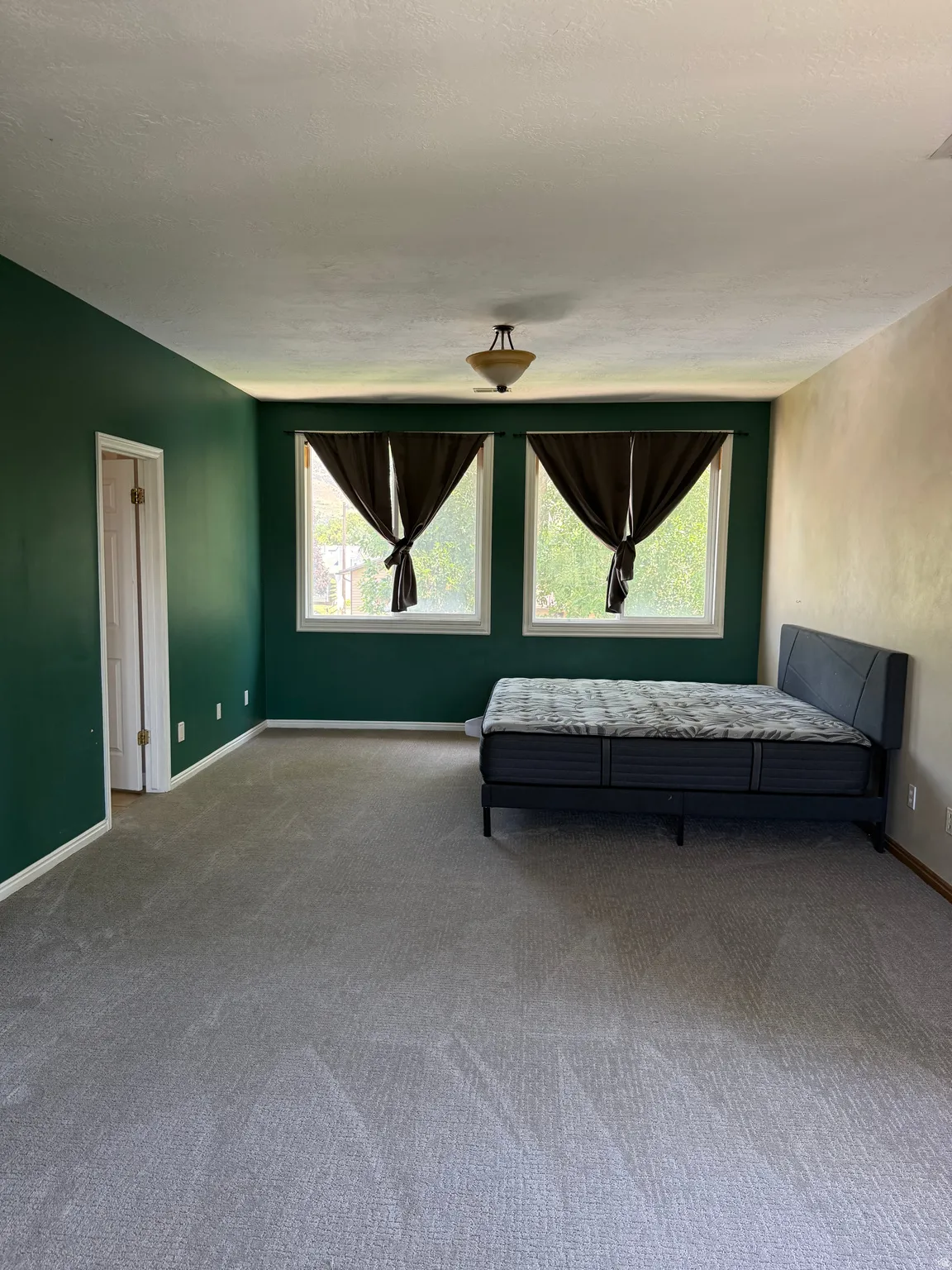 Spacious room featuring plush gray carpeting, dual windows, and a ceiling-mounted light fixture