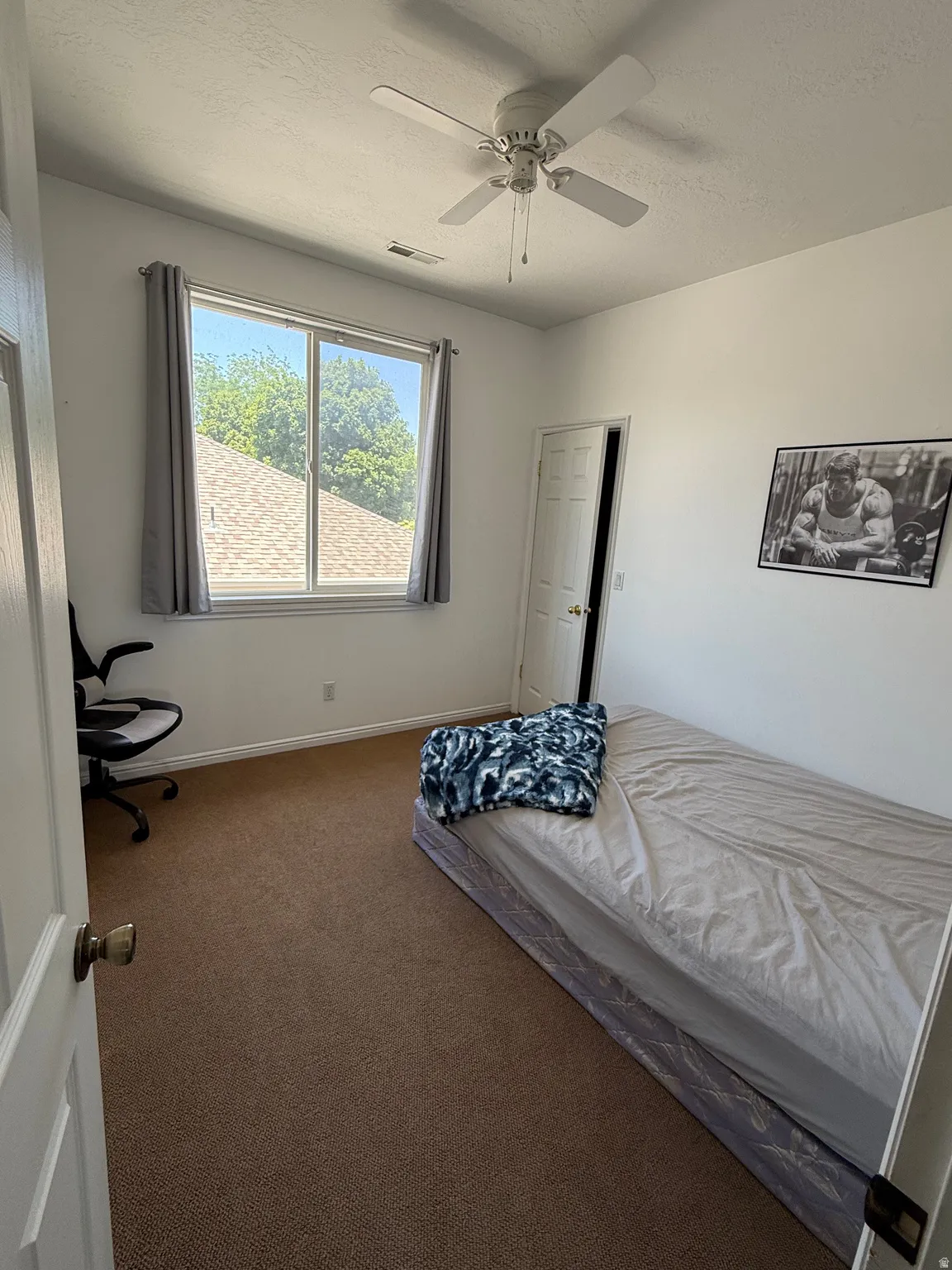 Bright interior space featuring a window with natural light, a ceiling fan, white baseboards, and brown carpet flooring