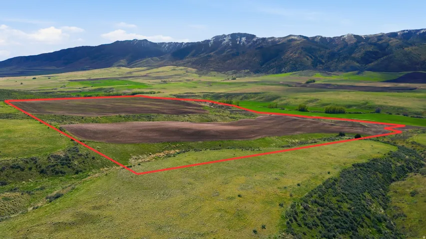 Overview of property estimated boundaries, buyer to verify.