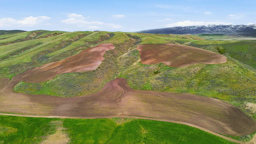 Drone / aerial view of mountains