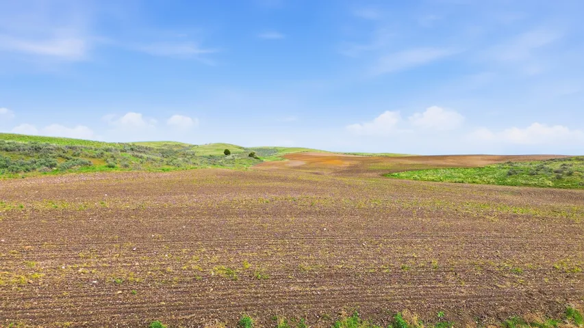 View of undeveloped land