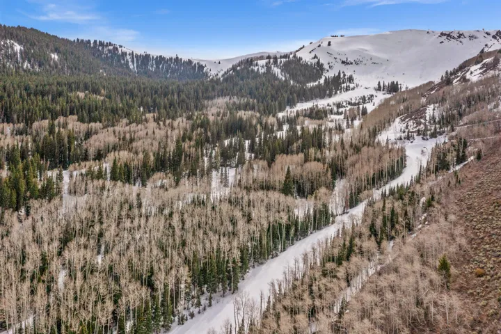 View of mountain background with a forest