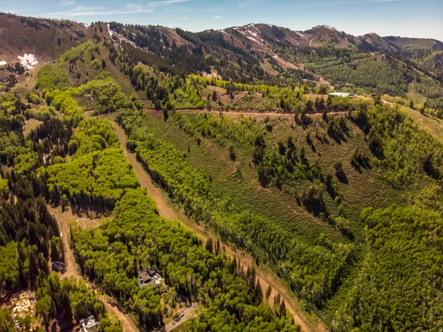Bird's eye view of mountains and a heavily wooded area