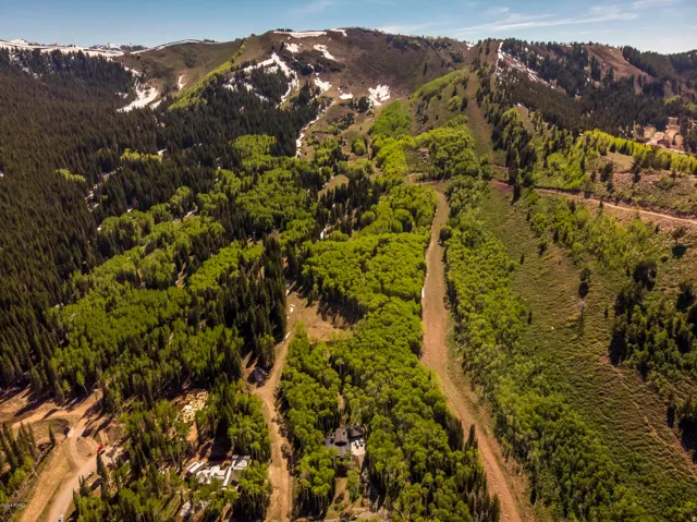 Aerial view of a mountain backdrop and a forest