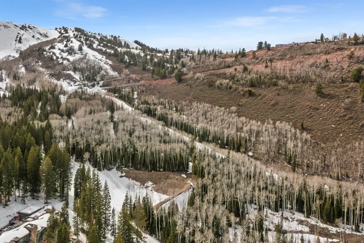 View of mountain background with a heavily wooded area