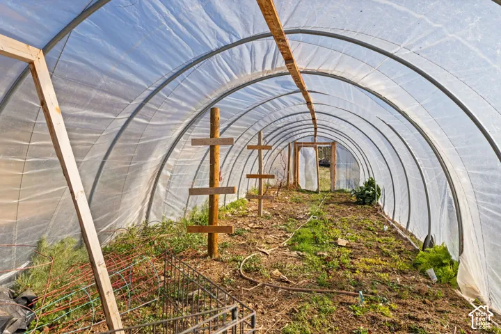 Interior of hoophouse