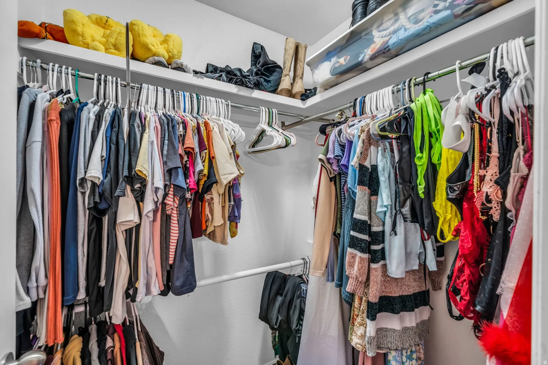 View of walk in closet