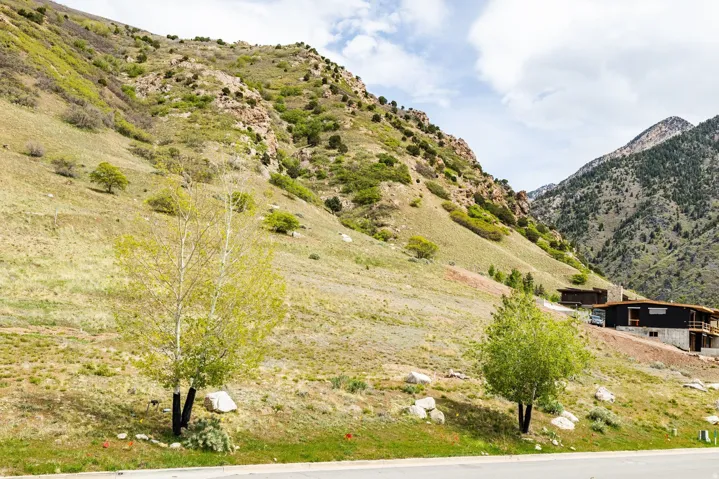 7141 S City View Dr, Cottonwood Heights, Utah 84121