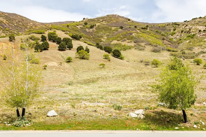 7141 S City View Dr, Cottonwood Heights, Utah 84121