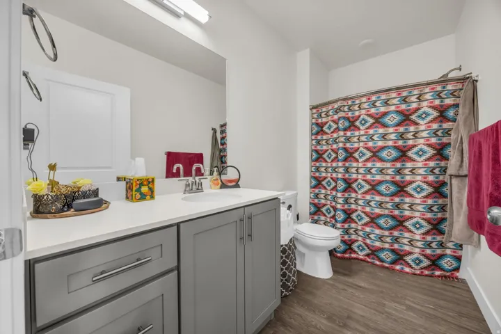 Full bathroom featuring vanity, a shower with curtain, and dark wood-type flooring