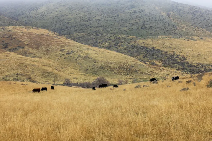 View of mountain background featuring rural landscape