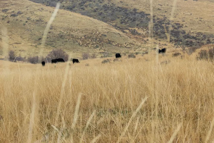 View of mountain backdrop featuring rural landscape