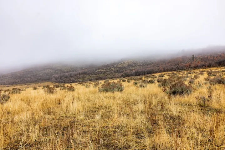 Mountain view featuring rural landscape