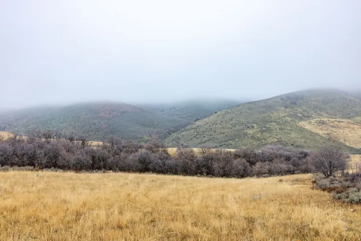 View of mountain background with rural landscape
