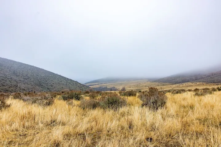 View of mountain background