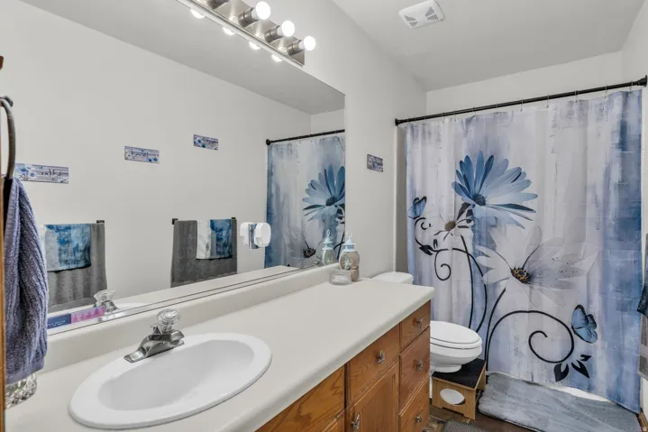 Full bathroom featuring vanity and a shower with curtain