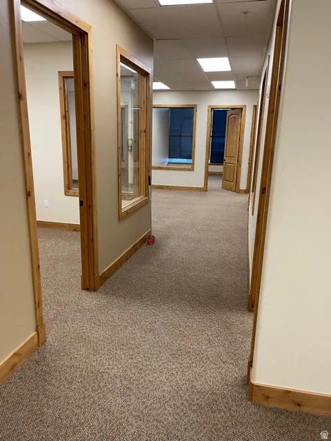 Hall with a drop ceiling and light carpet