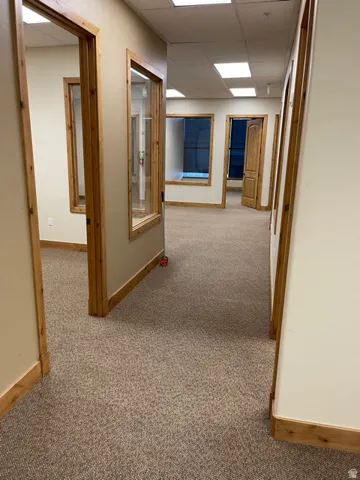 Hall with a drop ceiling and light carpet