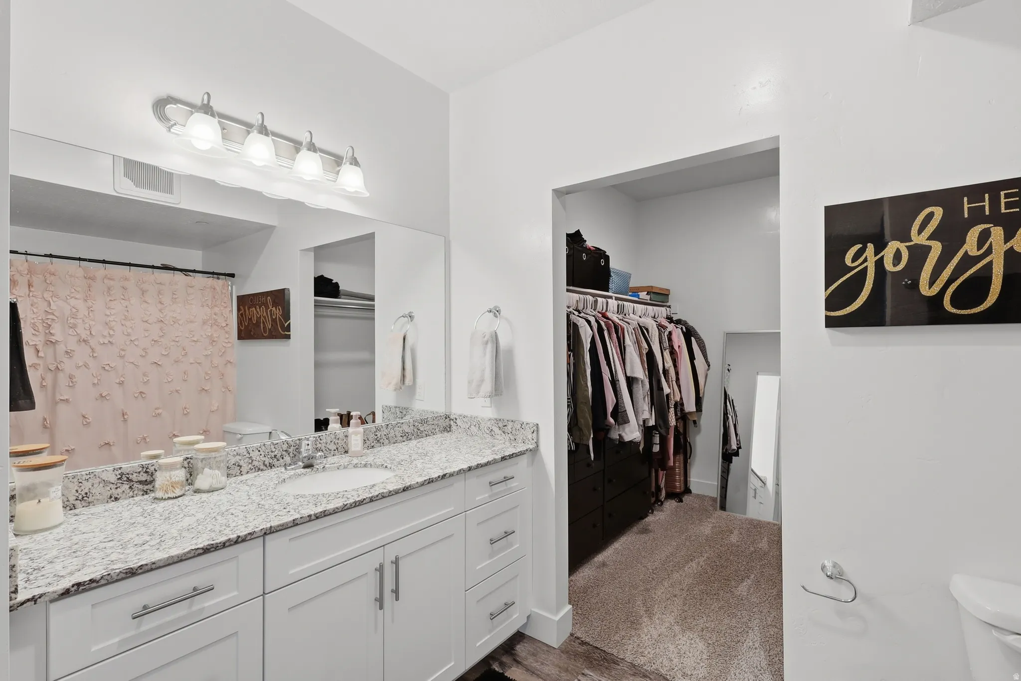 Bathroom featuring vanity, a walk in closet, curtained shower, dark carpet, and dark wood-style floors