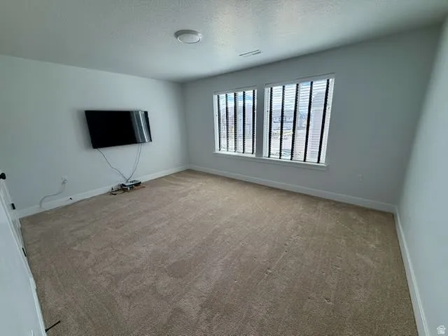 Unfurnished living room with carpet floors and a textured ceiling
