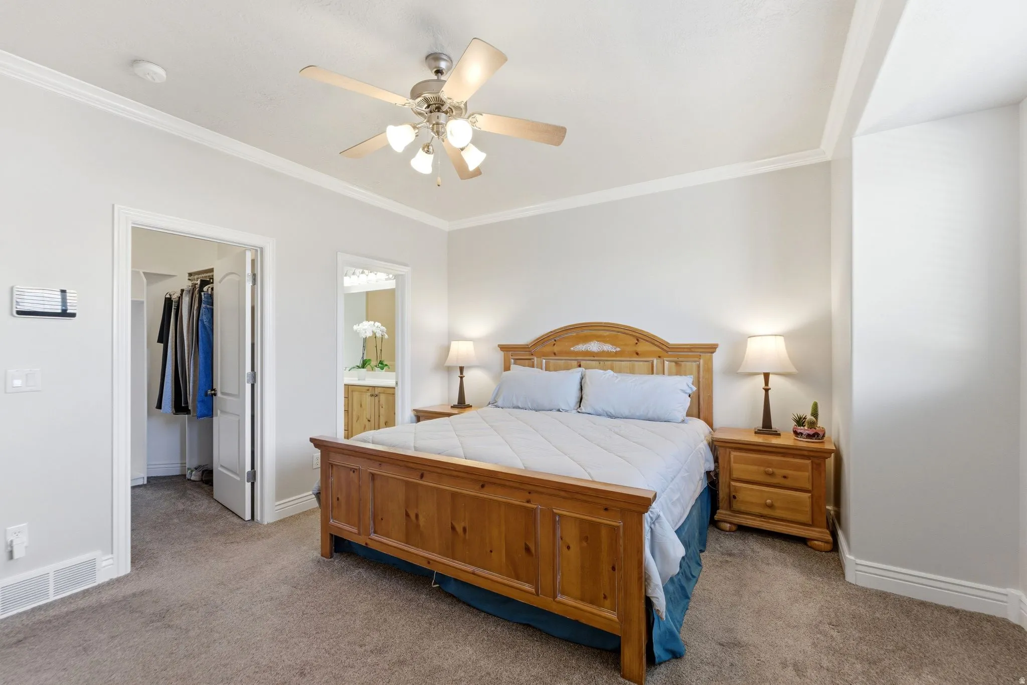 Bedroom featuring a spacious closet, carpet, ceiling fan, and ornamental molding