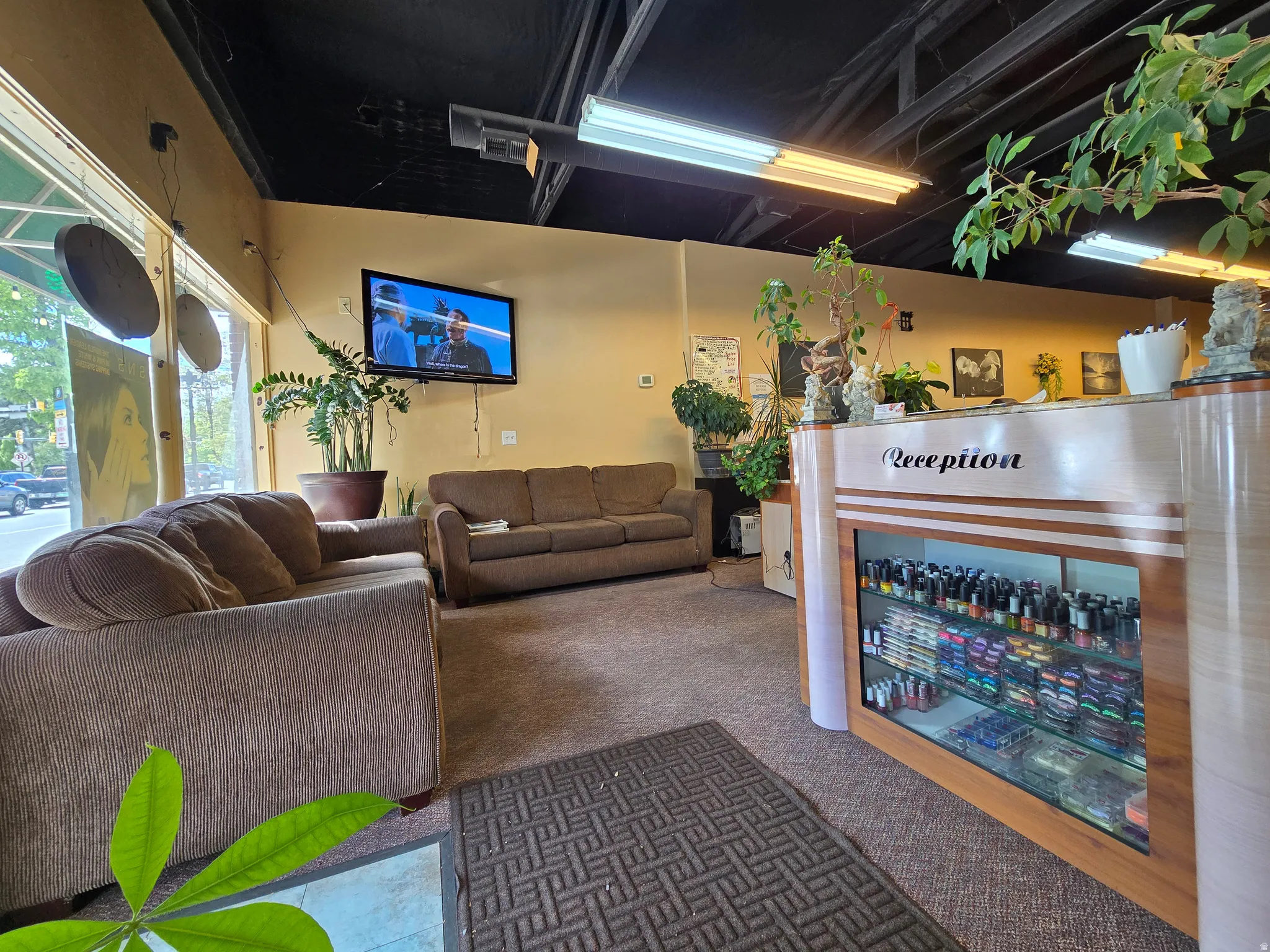 Living area with carpet