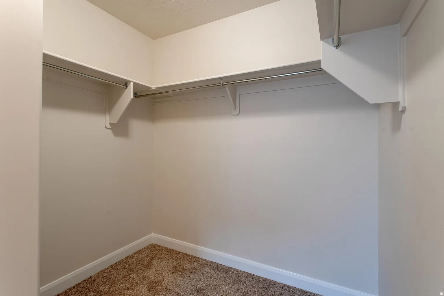 Walk in closet with carpet