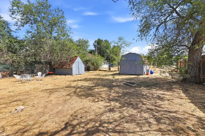 Expansive rear yard featuring mature trees and two detached storage sheds