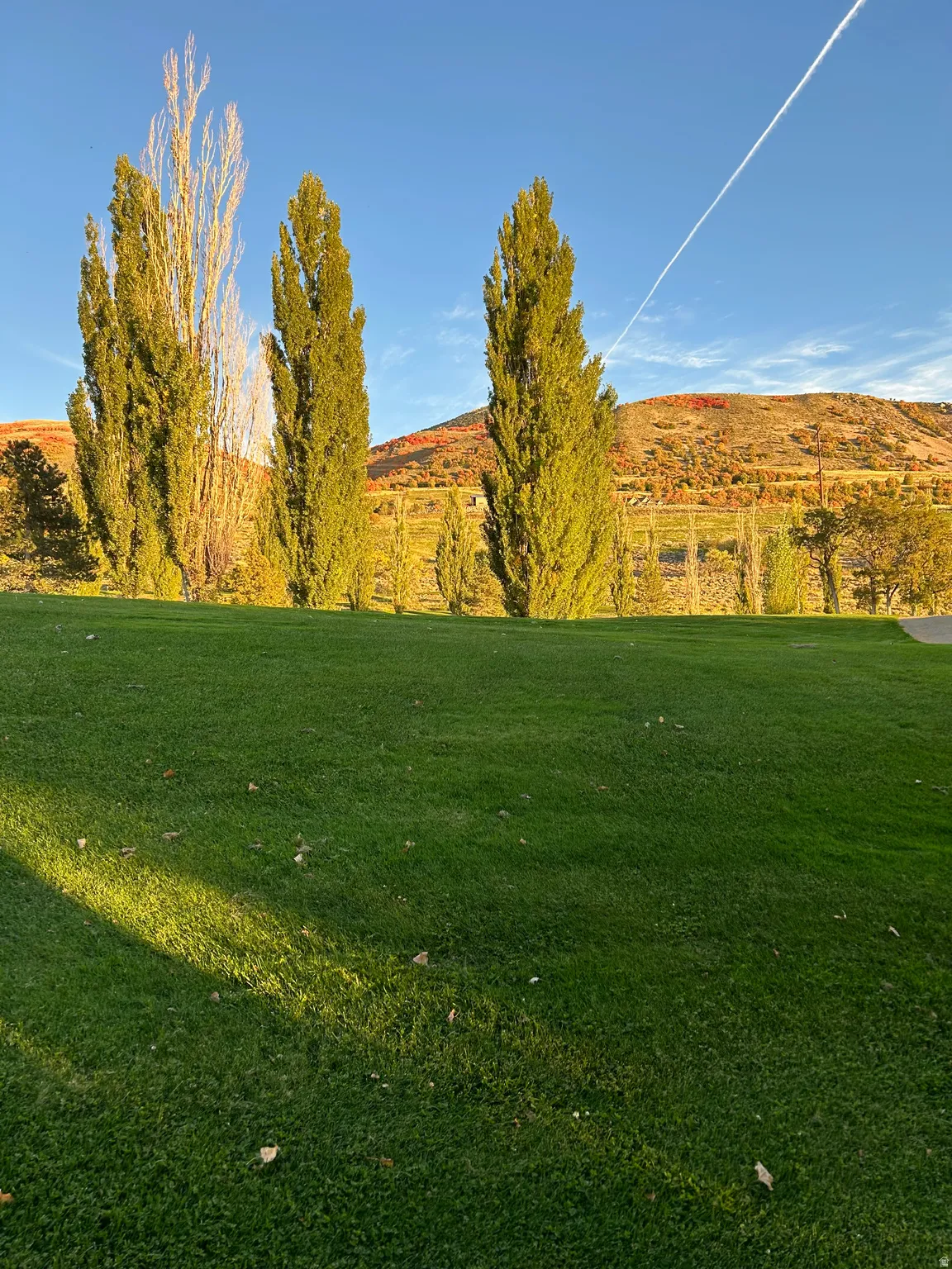 View of green lawn with a mountain view