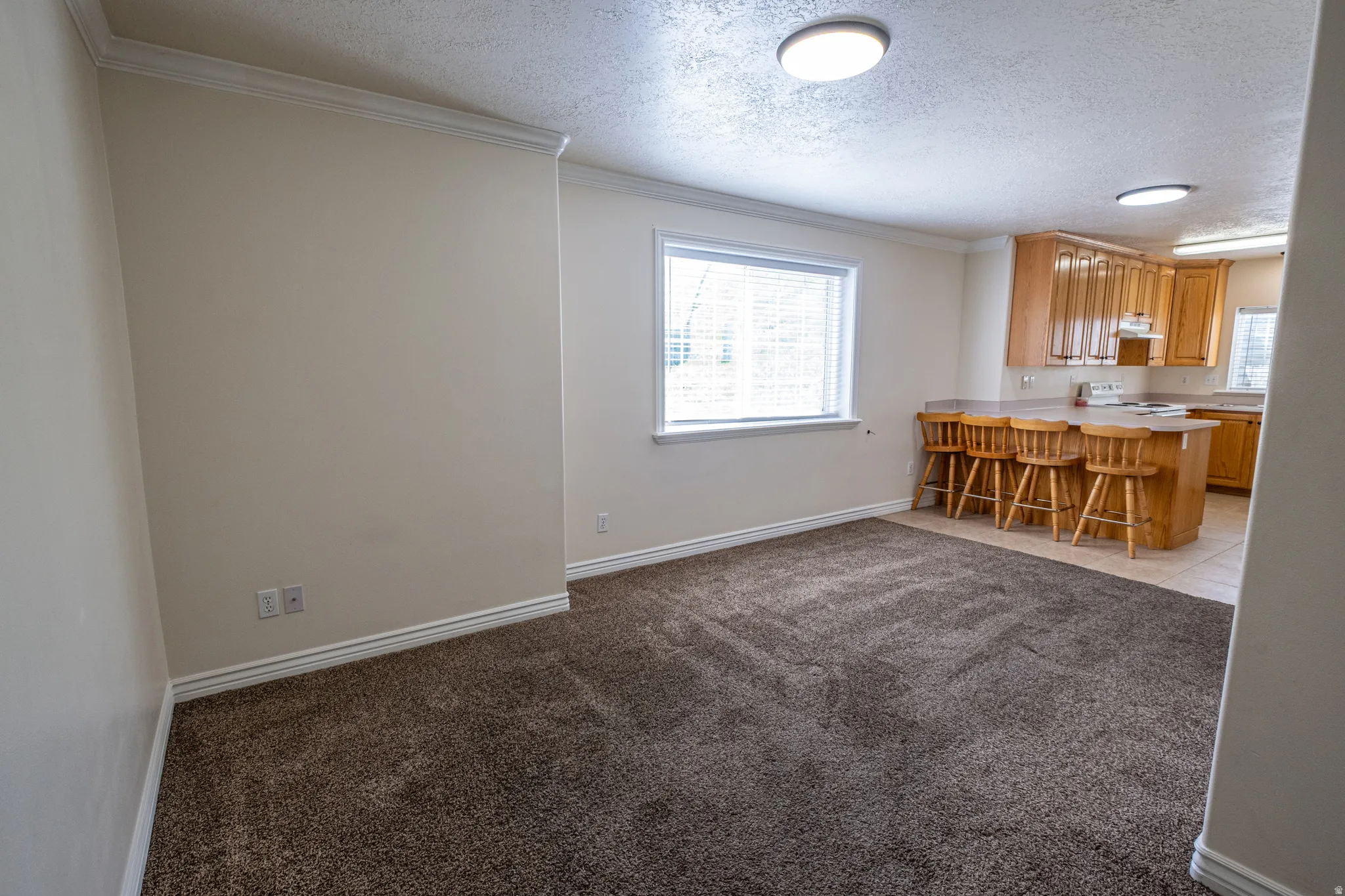 Kitchen with light countertops, a kitchen breakfast bar, light colored carpet, a textured ceiling, and a peninsula
