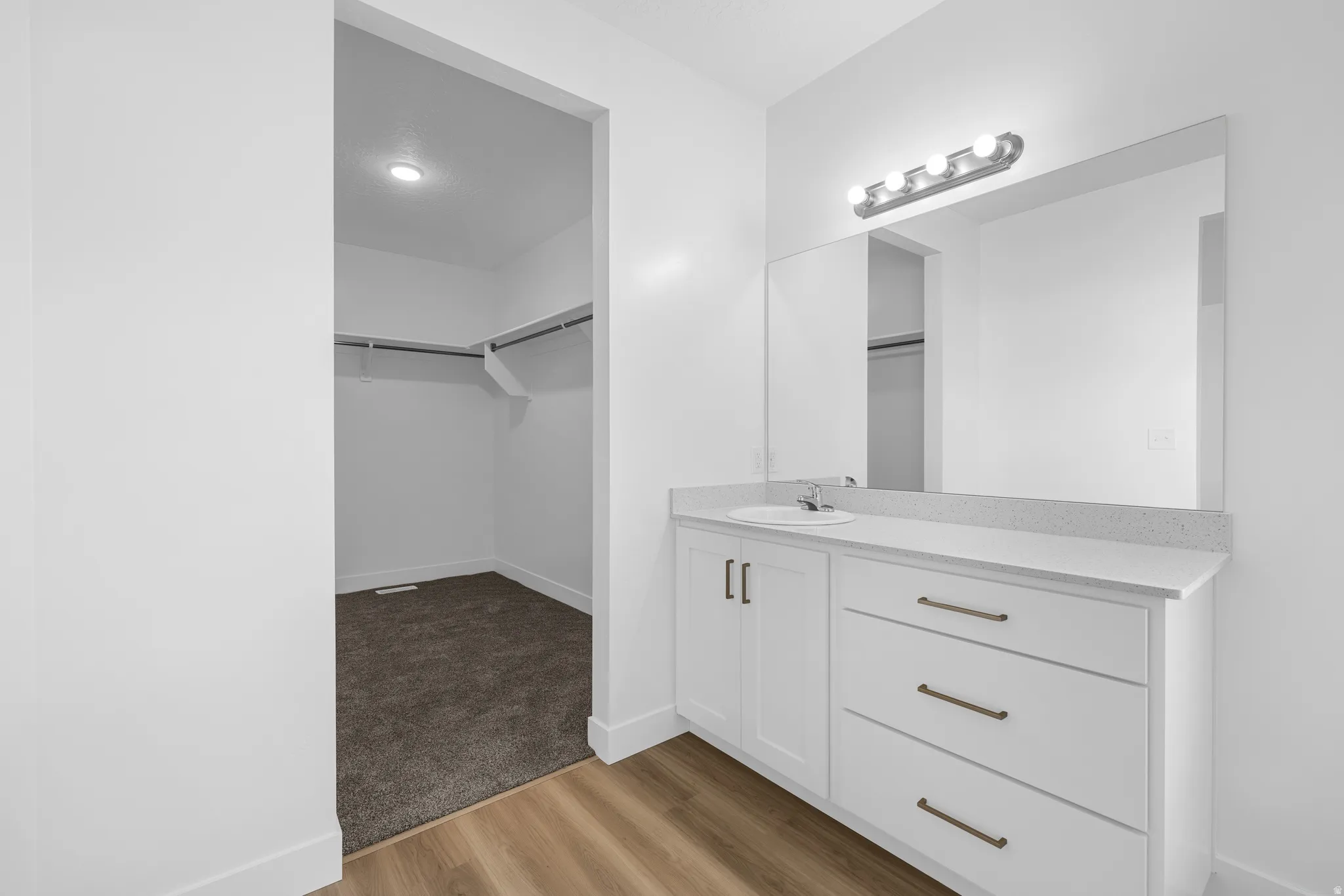 Full bathroom featuring a walk in closet, vanity, and light wood-type flooring